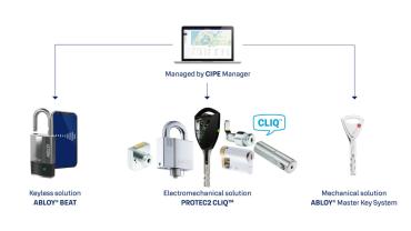 CIPE-Manager-portfolio.jpg