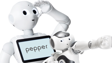 PepperNAOhome_0.png