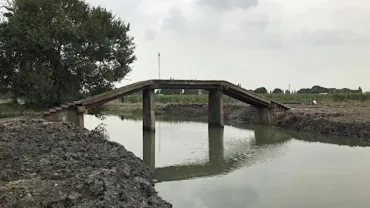 bridge-jpg.webp