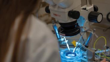 IHN-_-Neuroscience-lab-web.jpg