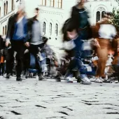 9ec2c8d71557560b_800x800ar-jpg-e1701165230697-webp.webp